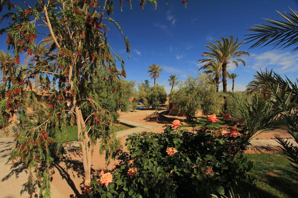 Hotel Kasbah 123 Soleil Skoura Exterior foto