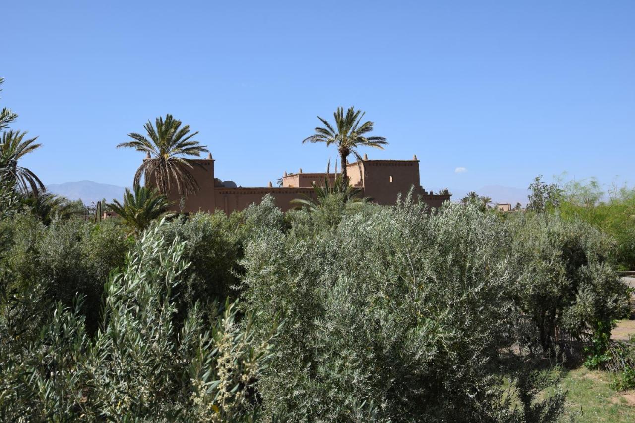 Hotel Kasbah 123 Soleil Skoura Exterior foto